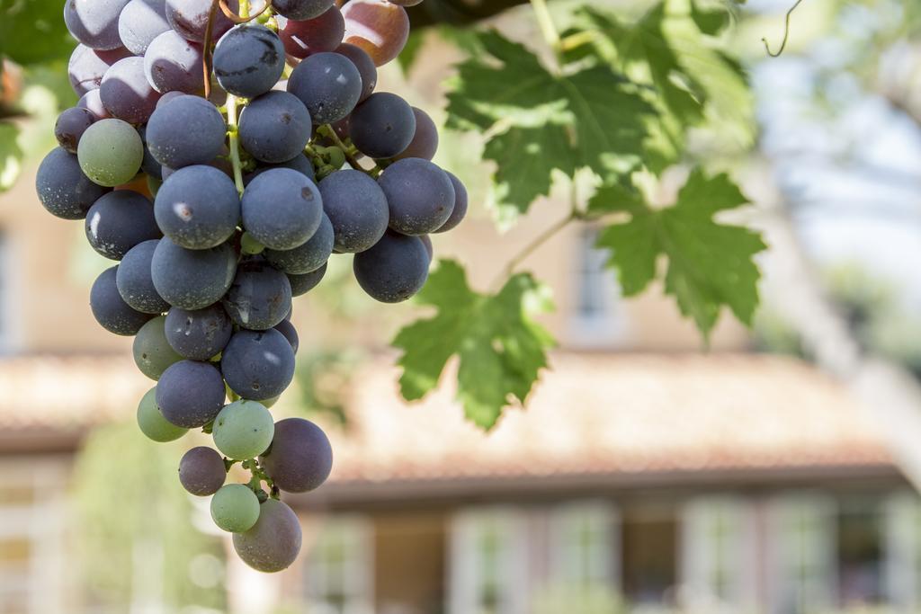 Ca Muretta Relais Μπαρντολίνο Εξωτερικό φωτογραφία